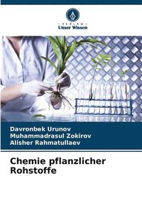 bokomslag Chemie pflanzlicher Rohstoffe