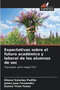 bokomslag Expectativas sobre el futuro acadmico y laboral de los alumnos de sec