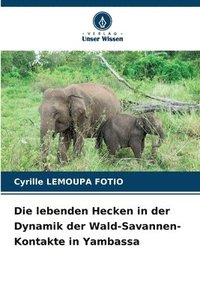 bokomslag Die lebenden Hecken in der Dynamik der Wald-Savannen-Kontakte in Yambassa