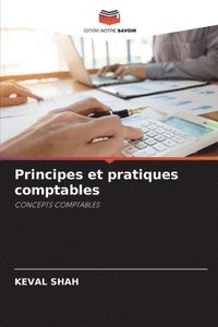 bokomslag Principes et pratiques comptables