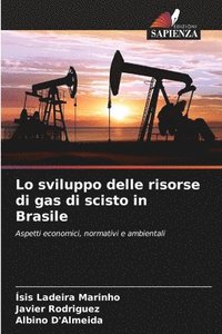 bokomslag Lo sviluppo delle risorse di gas di scisto in Brasile