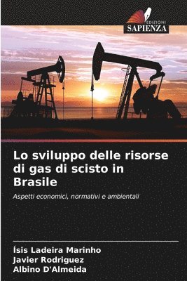 Lo sviluppo delle risorse di gas di scisto in Brasile 1