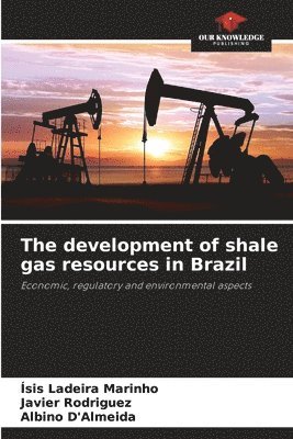 The development of shale gas resources in Brazil 1