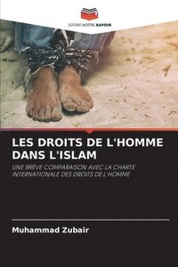 bokomslag Les Droits de l'Homme Dans l'Islam