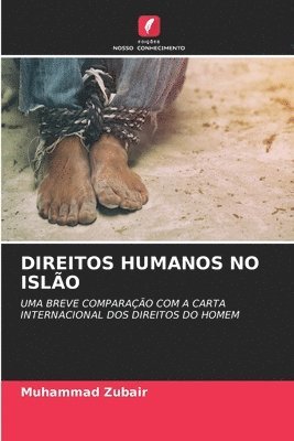 bokomslag Direitos Humanos No Islo