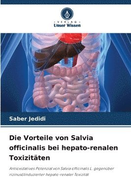 Die Vorteile von Salvia officinalis bei hepato-renalen Toxizitten 1