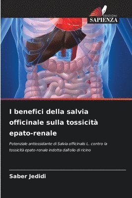 I benefici della salvia officinale sulla tossicit epato-renale 1