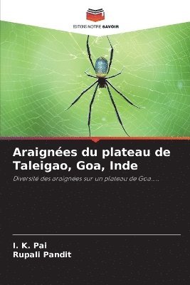 Araignes du plateau de Taleigao, Goa, Inde 1