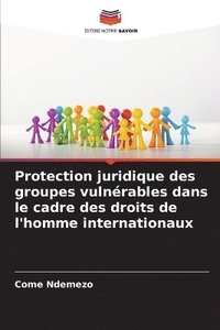 bokomslag Protection juridique des groupes vulnrables dans le cadre des droits de l'homme internationaux