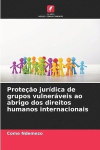 bokomslag Proteo jurdica de grupos vulnerveis ao abrigo dos direitos humanos internacionais