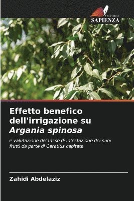 Effetto benefico dell'irrigazione su Argania spinosa 1