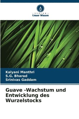 Guave -Wachstum und Entwicklung des Wurzelstocks 1