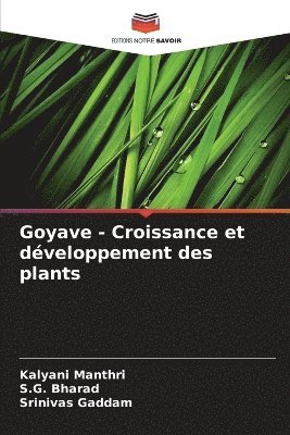 Goyave - Croissance et dveloppement des plants 1