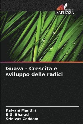 Guava - Crescita e sviluppo delle radici 1