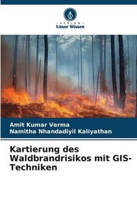 bokomslag Kartierung des Waldbrandrisikos mit GIS-Techniken