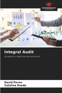 bokomslag Integral Audit