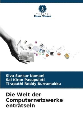 bokomslag Die Welt der Computernetzwerke entrtseln