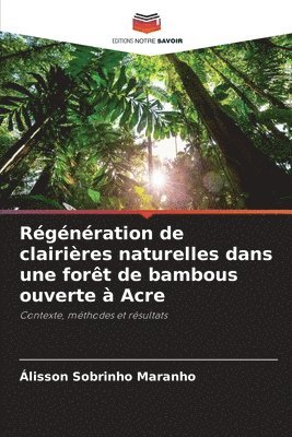 Rgnration de clairires naturelles dans une fort de bambous ouverte  Acre 1