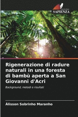 Rigenerazione di radure naturali in una foresta di bamb aperta a San Giovanni d'Acri 1