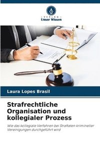 bokomslag Strafrechtliche Organisation und kollegialer Prozess