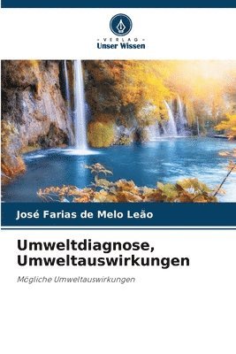 Umweltdiagnose, Umweltauswirkungen 1