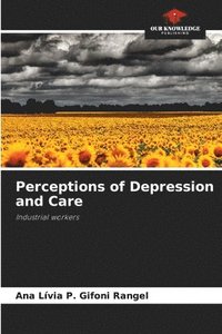 bokomslag Perceptions of Depression and Care