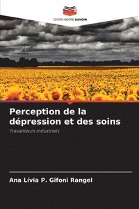 bokomslag Perception de la dpression et des soins