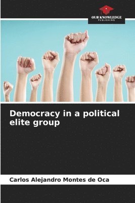bokomslag Democracy in a political elite group