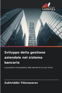 bokomslag Sviluppo della gestione aziendale nel sistema bancario