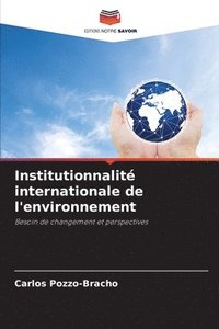 bokomslag Institutionnalit internationale de l'environnement