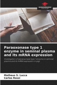 bokomslag Paraoxonase type 1 enzyme in seminal plasma and its mRNA expression