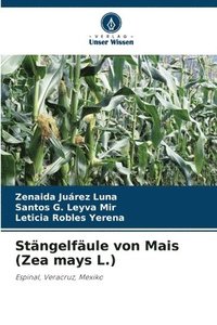 bokomslag Stngelfule von Mais (Zea mays L.)