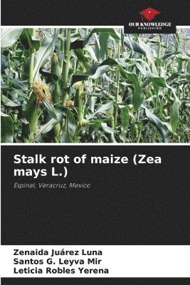 Stalk rot of maize (Zea mays L.) 1