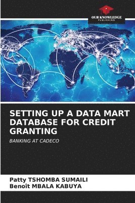 bokomslag Setting Up a Data Mart Database for Credit Granting