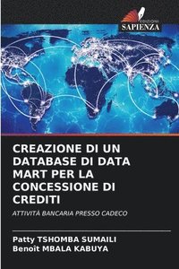 bokomslag Creazione Di Un Database Di Data Mart Per La Concessione Di Crediti