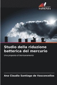 bokomslag Studio della riduzione batterica del mercurio