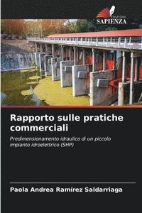 bokomslag Rapporto sulle pratiche commerciali