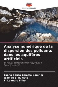 bokomslag Analyse numrique de la dispersion des polluants dans les aquifres artificiels