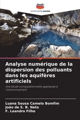 Analyse numrique de la dispersion des polluants dans les aquifres artificiels 1