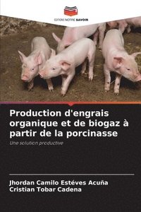 bokomslag Production d'engrais organique et de biogaz  partir de la porcinasse