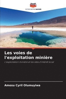 bokomslag Les voies de l'exploitation minire