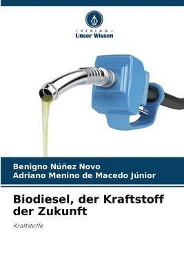 Biodiesel, der Kraftstoff der Zukunft 1
