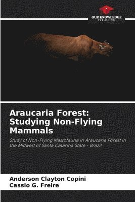 Araucaria Forest 1
