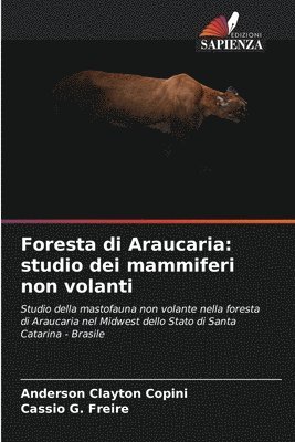 Foresta di Araucaria 1