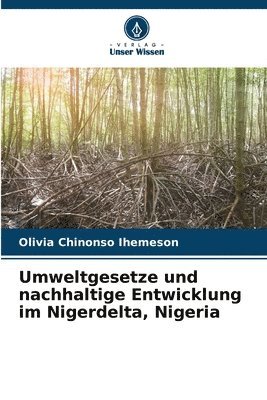 Umweltgesetze und nachhaltige Entwicklung im Nigerdelta, Nigeria 1