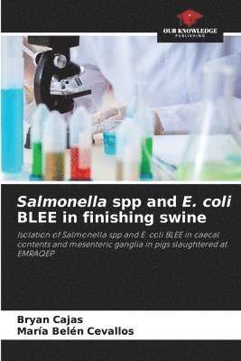 Salmonella spp and E. coli BLEE in finishing swine 1
