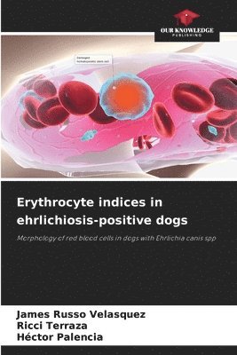 Erythrocyte indices in ehrlichiosis-positive dogs 1