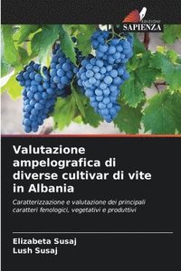 bokomslag Valutazione ampelografica di diverse cultivar di vite in Albania