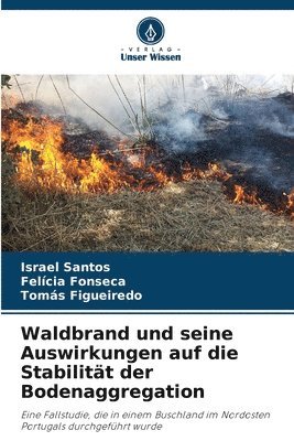 bokomslag Waldbrand und seine Auswirkungen auf die Stabilitt der Bodenaggregation