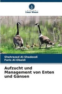 bokomslag Aufzucht und Management von Enten und Gnsen